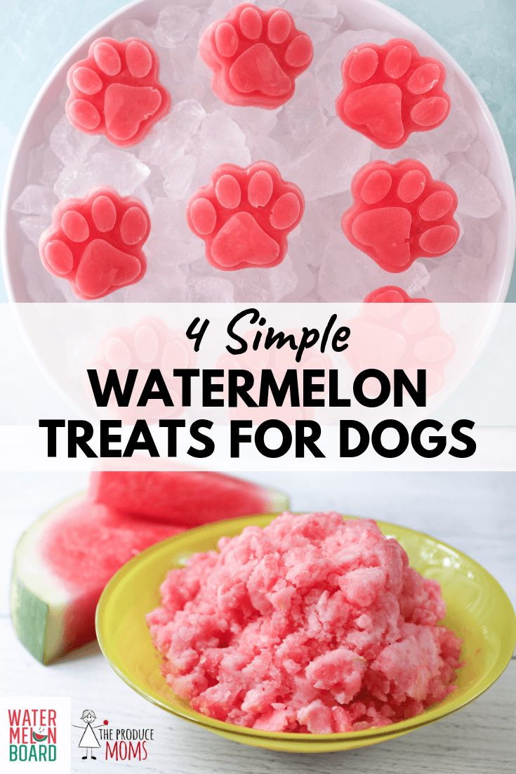 Easy Watermelon Dog Treats: Refreshing & Healthy Summer Snacks