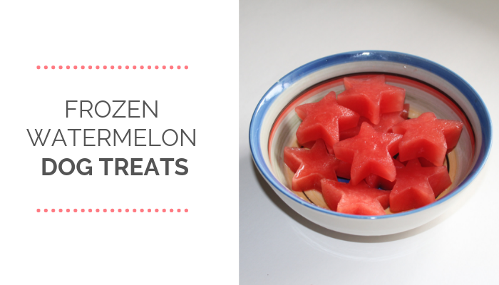 Frozen Watermelon Dog Treats: Keep Your Pup Cool and Hydrated